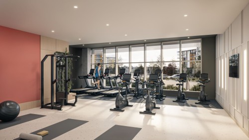 Salle d'exercice - 319-555 Rue Frédéric-Back, Lévis (Les Chutes-De-La-Chaudière-Ouest), QC 