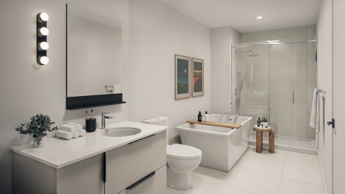 Salle de bains - 319-555 Rue Frédéric-Back, Lévis (Les Chutes-De-La-Chaudière-Ouest), QC 