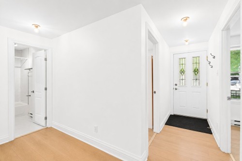 Hall d'entrée/Vestibule - 203-203 Rue Lafleur, Montréal (Verdun/Île-Des-Soeurs), QC 