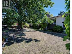 Beautiful landscaped front yard - 