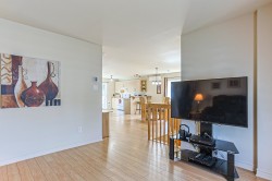 Salon - 