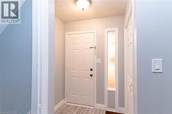 Entryway featuring a panel door, frosted vertical window, and wood-finish flooring - 