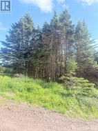 6A Big Pond Access Road Burin, NL A0E 1E0