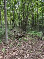 Sitting area in the ravine - 