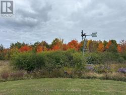 autumn colours - 