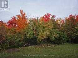 Autumn's apple harvest - 