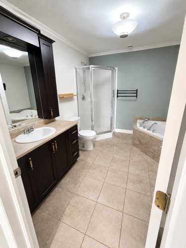 Bathroom - 201-310 Rue Bohémier, Mascouche, QC 