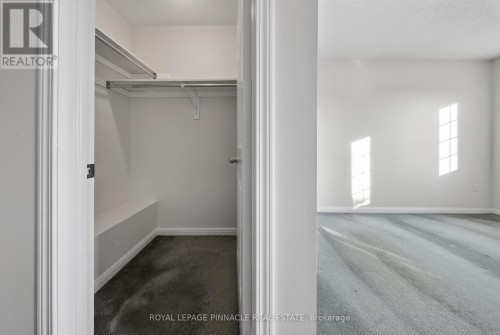 787 Avocado Crescent, Mississauga, ON 