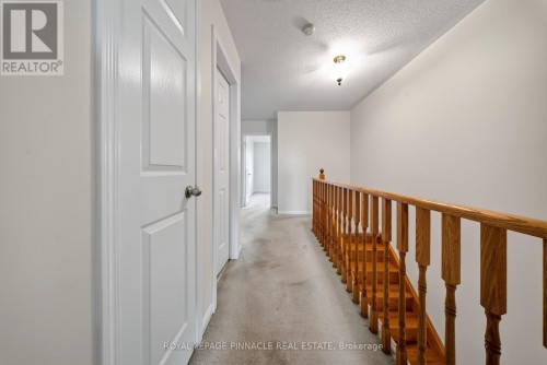 787 Avocado Crescent, Mississauga, ON 