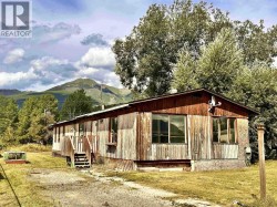 1144 4TH AVENUE Valemount, BC V0E 2Z0