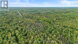 456 COUNTY ROAD 620 North Kawartha, ON K0L 1A0