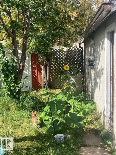 11438 83 St Nw, Edmonton, AB 