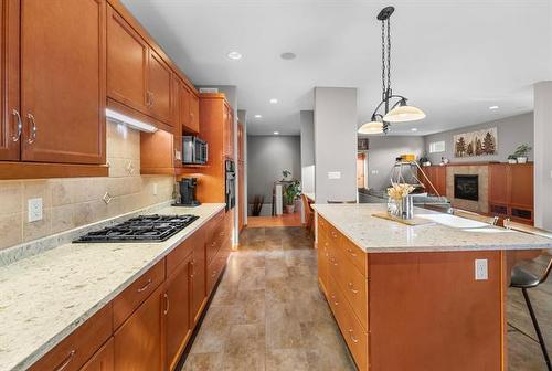 23 Lardon Crt, Winnipeg, MB 