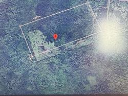 50 acres on Back Settlement Road, West Lakevale  Lakevale, NS B2G 2L2