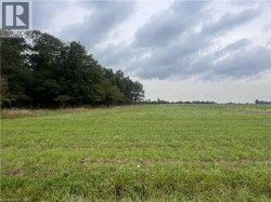 0 LINK Road  Haldimand, ON N0A 1E0