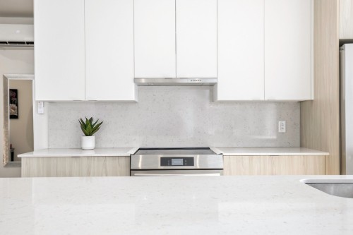 Kitchen - 201-4240 Rue Olivier-Fournier, Longueuil (Saint-Hubert), QC 