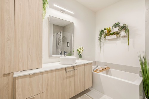 Bathroom - 201-4240 Rue Olivier-Fournier, Longueuil (Saint-Hubert), QC 