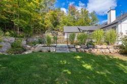 Lot - 
