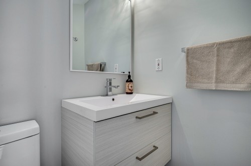 Salle d'eau - 931 Ch. Des Éperviers, Piedmont, QC 