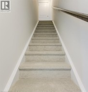 Carpeted staircase with light-toned wall paint, white trim, and a horizontal handrail - 