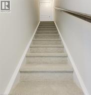 Carpeted staircase with light-toned wall paint, white trim, and a horizontal handrail - 