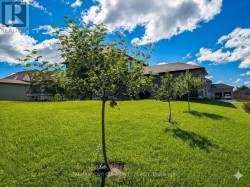 Back Yard Apple Trees - 