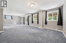 Spacious room featuring gray carpet flooring, multiple windows, a double glass door, and flush-mount ceiling lights - 