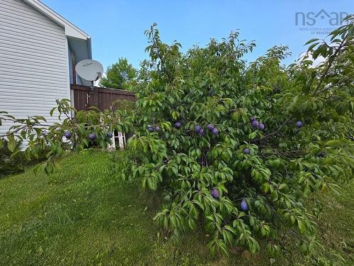 31 Carriage Lane, Enfield, NS 