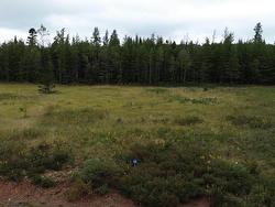 Lot 28 RUNWAY Court Valley, NS B6L 6L3