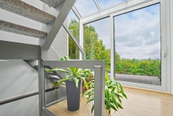 Sun Room - 