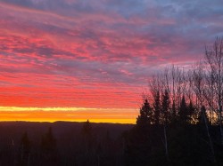 View - 