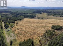 2935 MILES CREEK FOREST SERVICE ROAD Likely, BC V0L 1G0