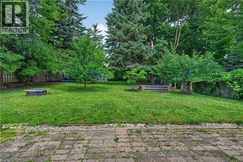 Expansive lawn bordered by mature trees and a wood fence - 114 Shuh Avenue, Kitchener, ON 