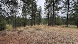 232 Corral Boulevard Cranbrook, BC V1C 0C2