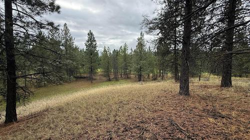 232 Corral Boulevard, Cranbrook, BC 