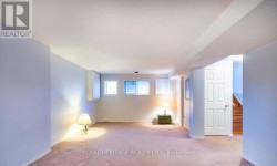 recreation room - 