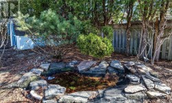 pond - 