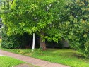 1304 Alexandra Avenue, Mississauga, ON 