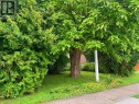 1304 Alexandra Avenue, Mississauga, ON 