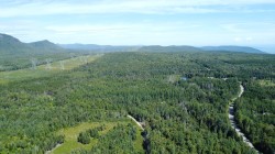 Aerial View - 