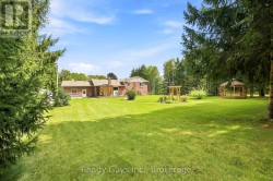 BACKYARD - 