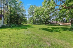 Green space and mature trees, good canopy coverage - 