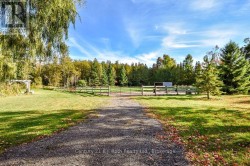 Paddock Behind the House - 
