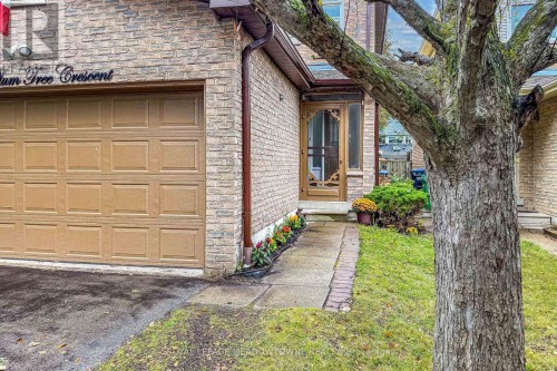 3089 Plum Tree Crescent, Mississauga, ON 