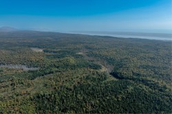 Vue d'ensemble - 
