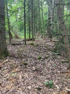 Ch. du Lac-de-l'Écluse Val-Des-Monts, QC J8N 1E1