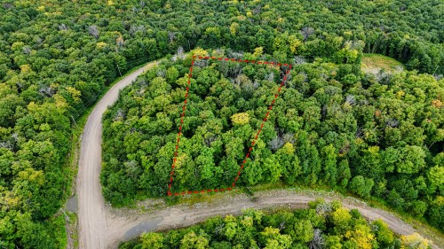 Terre/Terrain - Ch. De La Perdrix, Val-Des-Lacs, QC 