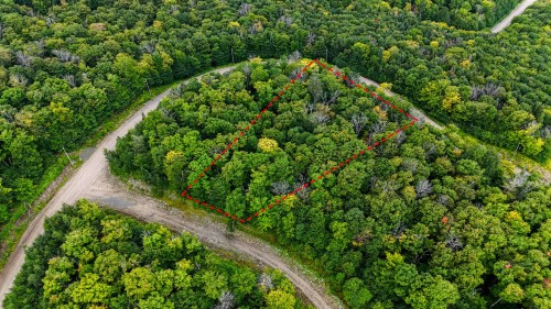 Terre/Terrain - Ch. De La Perdrix, Val-Des-Lacs, QC 
