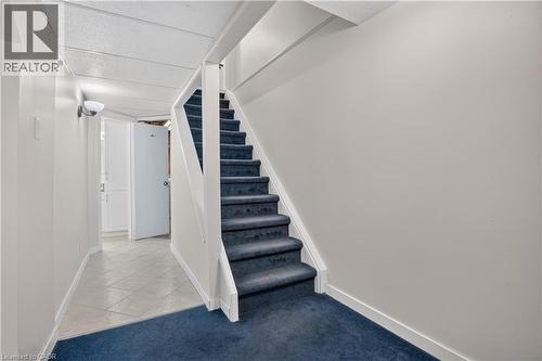 Staircase with carpeted treads and white wood handrails - 38 Meadow Woods Crescent, Kitchener, ON 