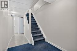 Staircase with carpeted treads and white wood handrails - 